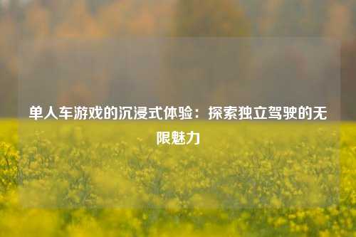 单人车游戏的沉浸式体验:探索独立驾驶的无限魅力