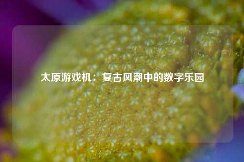 太原游戏机:复古风潮中的数字乐园