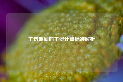 工伤期间的工资计算标准解析