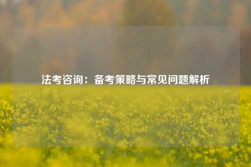 法考咨询:备考策略与常见问题解析