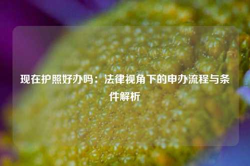 现在护照好办吗：法律视角下的申办流程与条件解析