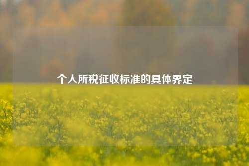 个人所税征收标准的具体界定