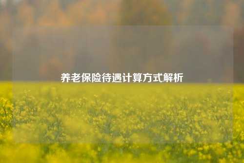 养老保险待遇计算方式解析