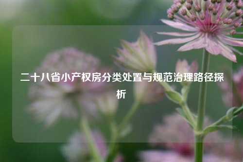 二十八省小产权房分类处置与规范治理路径探析
