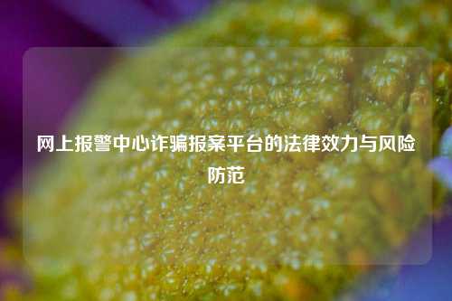 网上报警中心诈骗报案平台的法律效力与风险防范