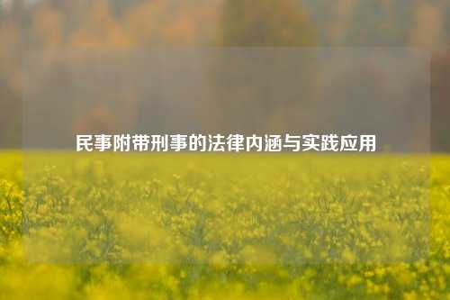 民事附带刑事的法律内涵与实践应用