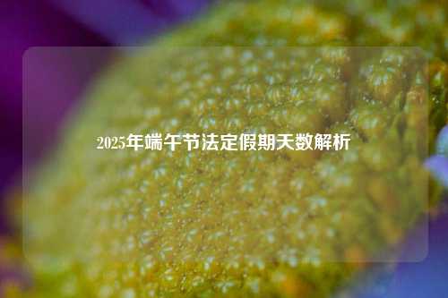 2025年端午节法定假期天数解析