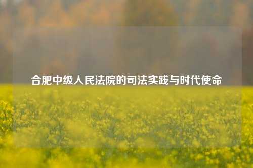 合肥中级人民法院的司法实践与时代使命